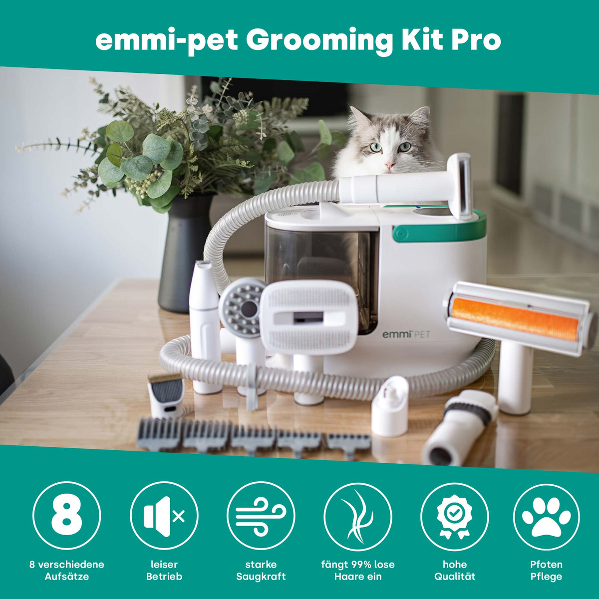 Kit per la toelettatura Pro