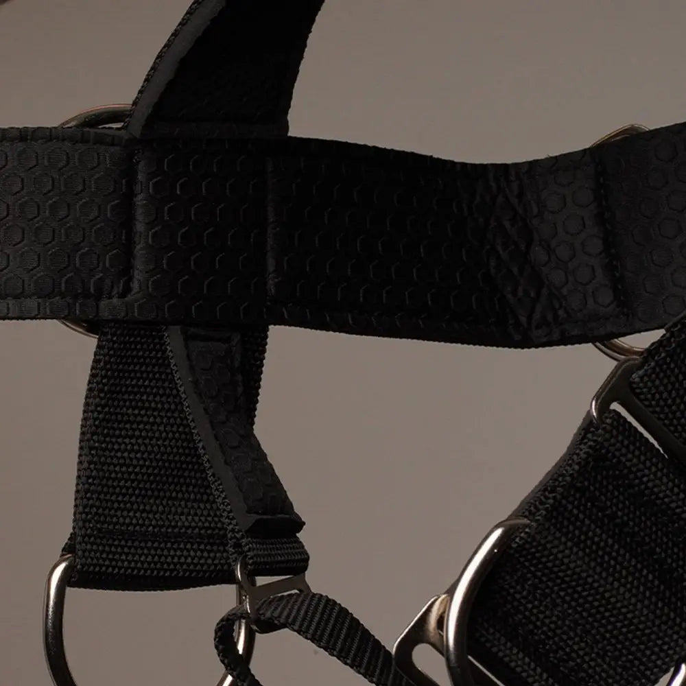 Iron Neck Alpha Harness Plus Nackengeschirr, Detail der seitlichen Riemen mit Karabiner