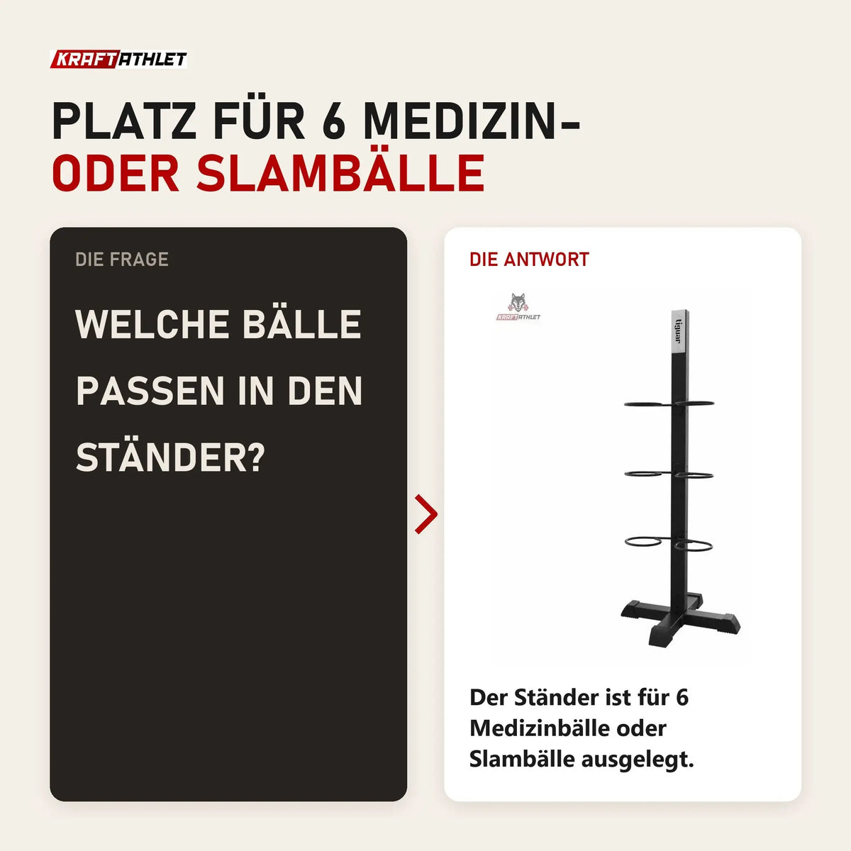 Frage und Antwort zu tiguar Ballständer 6-fach: Welche Bälle passen in den Ständer?