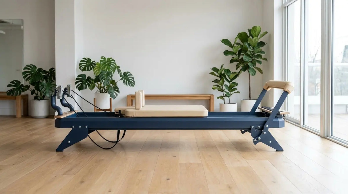Hegren Reformer de estudio TALMA 62 con estructura de acero en un moderno estudio de pilates