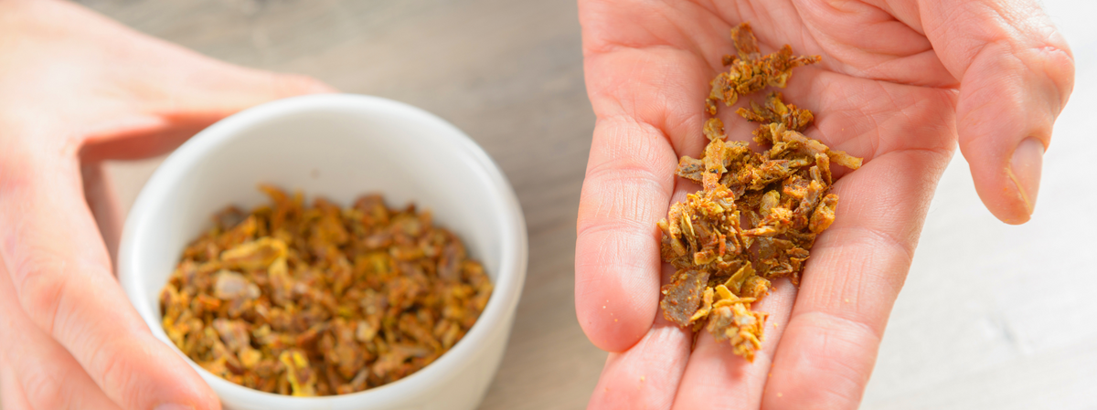 Bienenpower für Zähne: Hat Propolis Potenzial in der Endodontie?