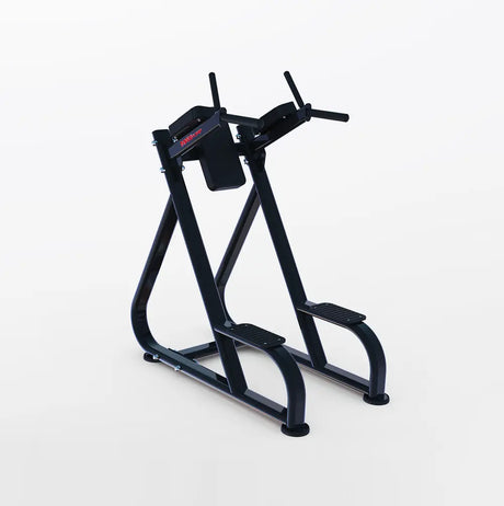 MaxPump A4000-45 Dip & Leg Raise buiktrainer