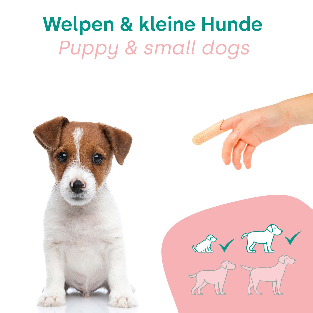 HappyDentalCare Puppy Set