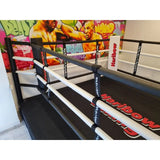 SportCom Boxring-Individualisierung: Ring mit weißen Seilen und bedruckter Schürze vor bunter Wandgestaltung