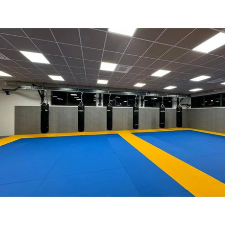 SportCom Echtleder-Sandsack 1,80 m: Säcke an der Wand einer Halle mit blauen und gelben Matten