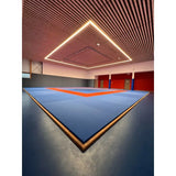 SportCom Judo-Tatami Reisstroh 1 × 1 m, 5 cm, rutschfeste Unterseite, blaue Fläche mit rotem Rand unter einem Lichtrahmen