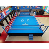 SportCom Ringplane für Wettkampf-Boxringe: Ring mit blauer Plane vor Länderfahnen, von oben
