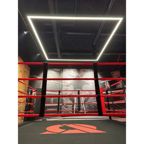 SportCom Trainingsboxring-Seil mit Hülle, rote Seile an einem Ring mit Lichtrahmen an der Decke