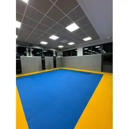 SportCom Wandpolster Standard SC-16211 in einer Kampfsporthalle mit blau-gelber Mattenfläche