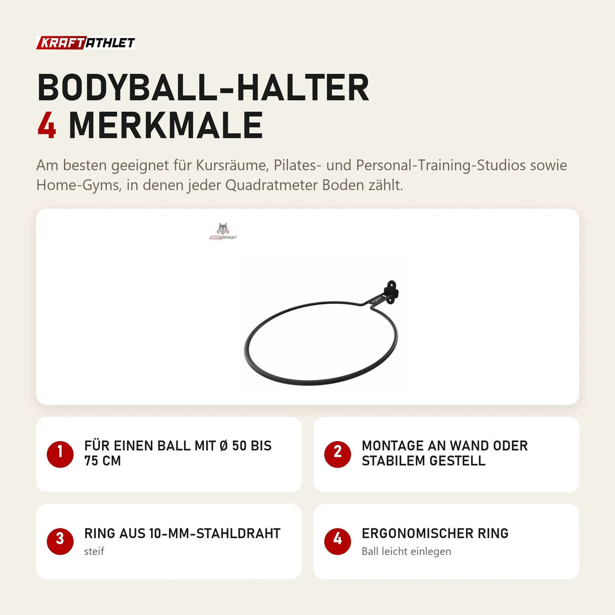 tiguar Bodyball-Halter mit 4 Merkmalen: Für einen Ball mit Ø 50 bis 75 cm, Montage an Wand oder stabilem Gestell, Ring aus 10-mm-Stahldraht, Ergonomischer Ring