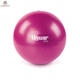 tiguar Easyball Lila Pilatesball 23 cm in Lila mit weißem Logo, Vorderansicht