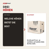 Frage und Antwort zu tiguar Plyobox Holz 3 in 1: Welche Höhen bietet die Box?