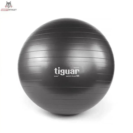 tiguar Safety Plus Ball 65 cm Lila Gymnastikball, Farbvariante Grau in der Frontansicht