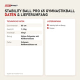 Technische Daten und Lieferumfang von Younix Stability Ball Pro 65 Gymnastikball als Tabelle